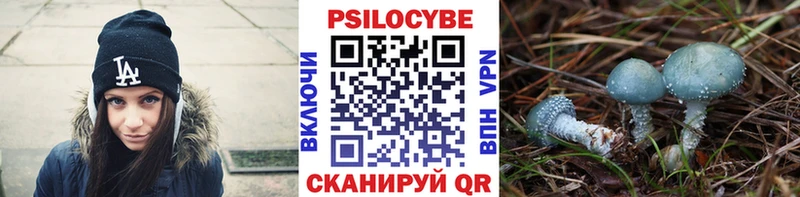 Галлюциногенные грибы Cubensis Ельня